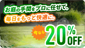 庭お手入れキャンペーン